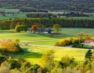 panoramic landscape with fields, houses, hedges, trees 