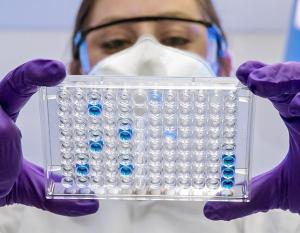 scientist looking at an experiment