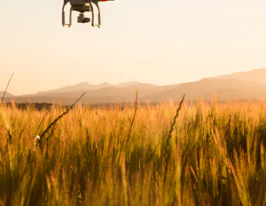 Drone flying over field
