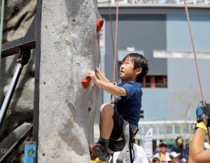 a child on a rock wall