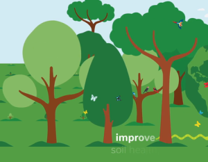 Reforestation More Than Planting Trees