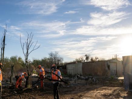 Wildfire cleanup in Arizona