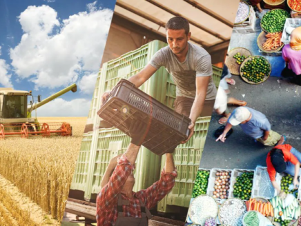 Collage of images illustrating farm to plate