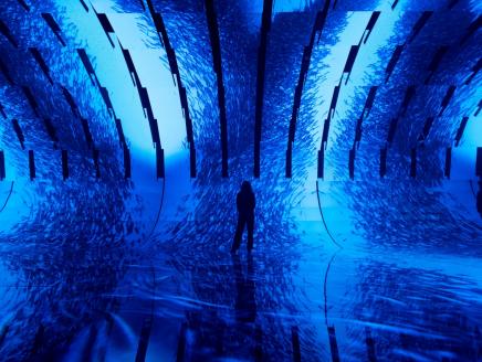 Photo Credit: David Parry/PA Media