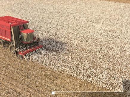 The Case IH Cotton Express self-propelled cotton harvester is helping to mechanize Uzbekistan’s cotton industry