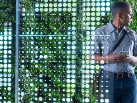 person standing in front of a living wall