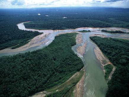 Confluence of Manu River (sediment laden) with clearer Madre de Dios River, former river channel of Manu, plant covered and dry.