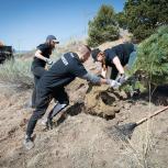 Arrow employees planting trees on Earth Day 