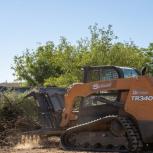 Wildfire cleanup in Arizona