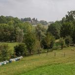 The Paideia Social Farm in Northern Italy provides families with a chance to reconnect with nature and learn about the natural environment in a fun and engaging manner.