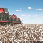 The Case IH Cotton Express self-propelled cotton harvester is helping to mechanize Uzbekistan’s cotton industry