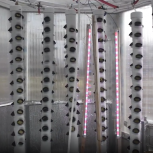 The Dunya Project provides modular hydroponic habitats that are scalable, easy-to-assemble, self-contained, climate-controlled with a connected mode of farming.