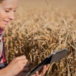 farmer in field of crops looking at a tablet