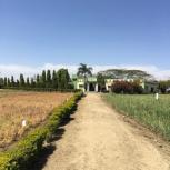 Center for Rural Development and Environment’s Research Ag Facility, Krishi Vigyan Kendra, Sewania. There are chickpeas on the left and onions on the right)
