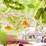 A biological membrane of algae and water protects contest finalist Algi City, a collective community based on the closed-loop use of resources.