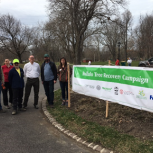 Buffalo: Service Manager Bob Chu along with his branch team leading tree planting efforts to support TruGreen.