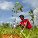 Employees and the local community help plant native saplings at FPT Industrial’s Sete Lagoas plant.