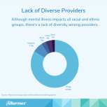 Info graphic "Lack of Diverse Providers" pie chart of ethnicity breakdown: 83.8% White