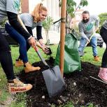 Photo from Urban Greening Year 3 in New York, NY