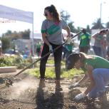 Photos from Urban Greening Year 3 in Los Angeles, CA
