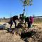 Arrow employees working together while planting trees on Earth Day 