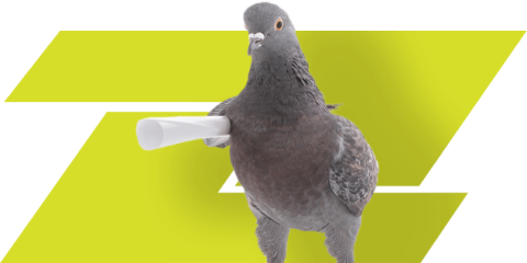 Share Your ESG News With a Global Audience