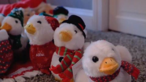 Keeping Family Traditions Alive With Aflac Holiday Duck