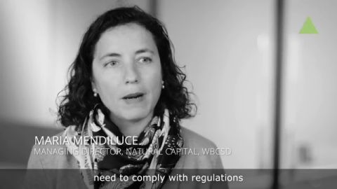 VIDEO | Progressive and Forward-looking, Energy-intensive Companies are Looking to Technology to Make Them Compliant with the Paris Agreement