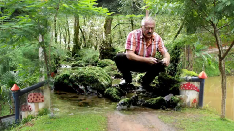 Forests and Fungi: Mekong Communities Reap the Rewards of a 500 Million-year-old Partnership