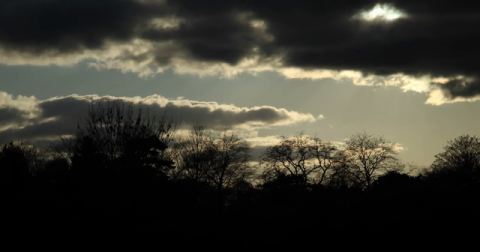 Closing the Loop: The World's First Feature-length Documentary on the Circular Economy