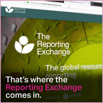 VIDEO | WBCSD Reporting Exchange: Theory of Change