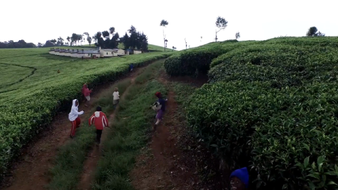 Caterpillar Foundation's Value of Water Video: Will RESTORE for Water