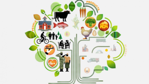 Sysco Shows What Better Looks Like