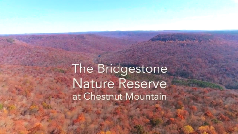 Video | Bridgestone Donated Nearly 6,000 Acres to Nature Conservancy in Tennessee
