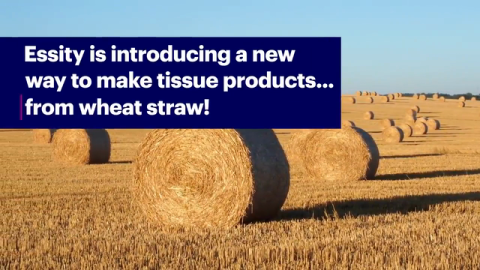 Essity Invests in Wheat Straw Technology to Improve Circularity of Tissue Products