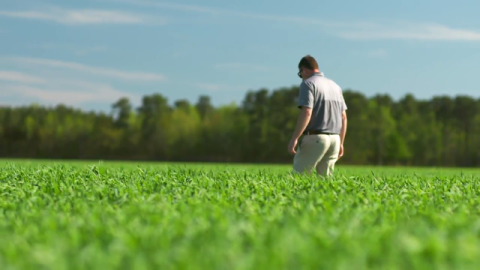 Meet Adam Lassiter, Agronomist for Smithfield Foods