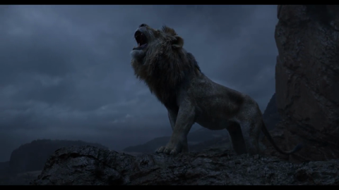 The Lion King Protect The Pride with Cast Video