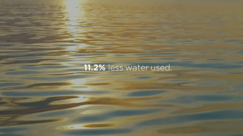 Conserving the Environment: A Look at Gildan's 2019 Sustainability Highlights