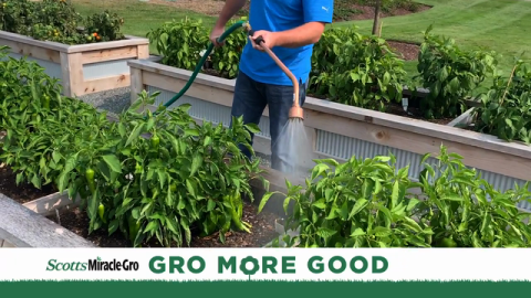 Growing in Kindness: How ScottsMiracle-Gro Associates GroMoreGood Through the Simple Act of Gardening