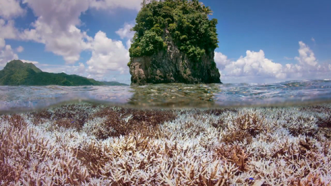 Working Together for Climate Action