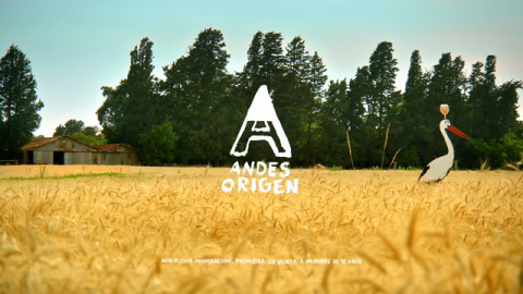 Four Social Campaigns That Are Re-Inventing How People Drink