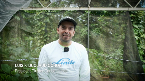 El Yunque National Forest Advances With the Arbor Day Foundation