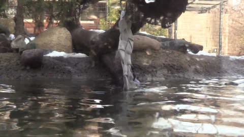 Used General Motors Fire Hoses Get New Life at Potter Park Zoo