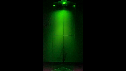 A Firefly's View of the Insect Apocalypse  