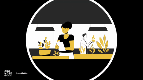 Watch | Our Journey to Becoming One of North America's Largest Green Waste Recyclers