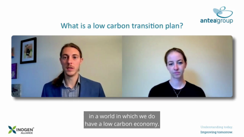 Low Carbon Transition Plans: What You Need to Know 