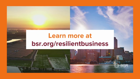 How Your Company Can Build Resilient Business Strategies