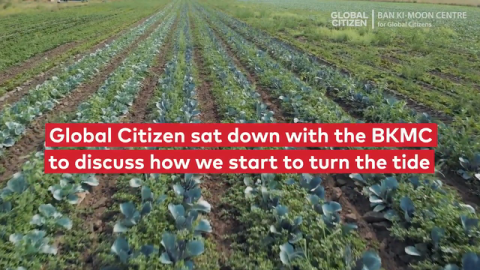 'Food Systems Are Paramount to the Challenges We Face': Why COVID-19 Must Prompt a Food Production Overhaul