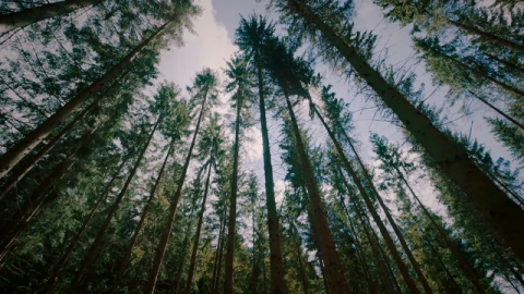 Sustainability From The Ground Up: What Responsible Mining Means to Eldorado Gold