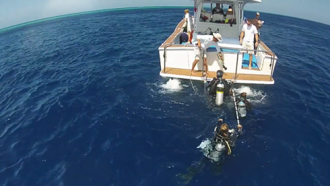 "Our Living Oceans" Brings  Ocean Conservation into the Home